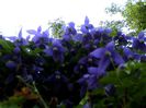 DSC01176