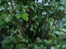DSC01202