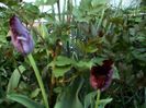 DSC01204