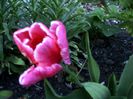 DSC01205