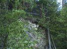 DSC01213