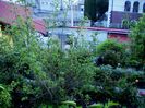 DSC01221