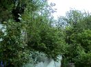DSC01226