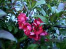 DSC01229