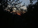 DSC01238
