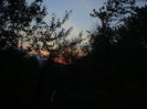 DSC01240