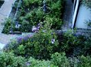 DSC01249