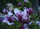 DSC01256