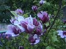 DSC01257