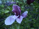 DSC01259