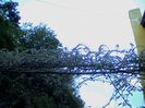 DSC01261