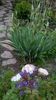 WP_20150430_027
