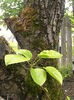 P4300911
