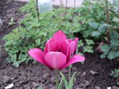 DSC02420