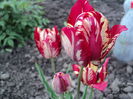 DSC02423
