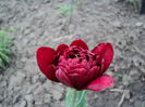 DSC02430