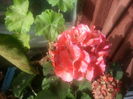 20150428_092635