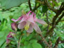 DSCN5684