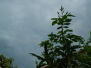 DSCN5697