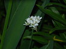 DSCN5719