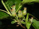 DSCN5741