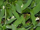 DSCN5742