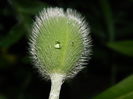 DSCN5744