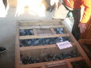APDC0254