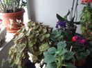 Picture 5751