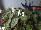 Picture 5752