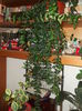 Picture 5756