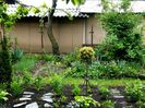 Perennial garden inceputuri_2mai