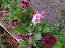 20150502_163541