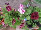 20150502_163510