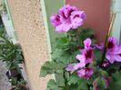 20150502_163451