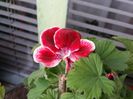 20150502_163445