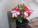 DSCN5498
