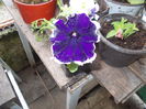 DSCN5521