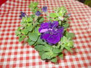 DSCN5527