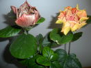 SAM_4687