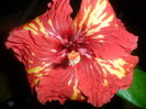 SAM_4643