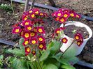 IMG_20150414_100439