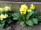 IMG_20150414_100823