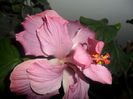 SAM_4649