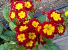 IMG_20150414_100140