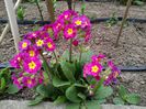 IMG_20150405_161812