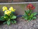 IMG_20150414_100827