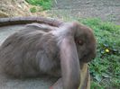 IMG_20150501_155007