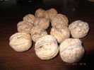 DSCF4005