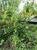 DSC08303